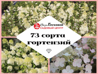 73 сорта гортензий