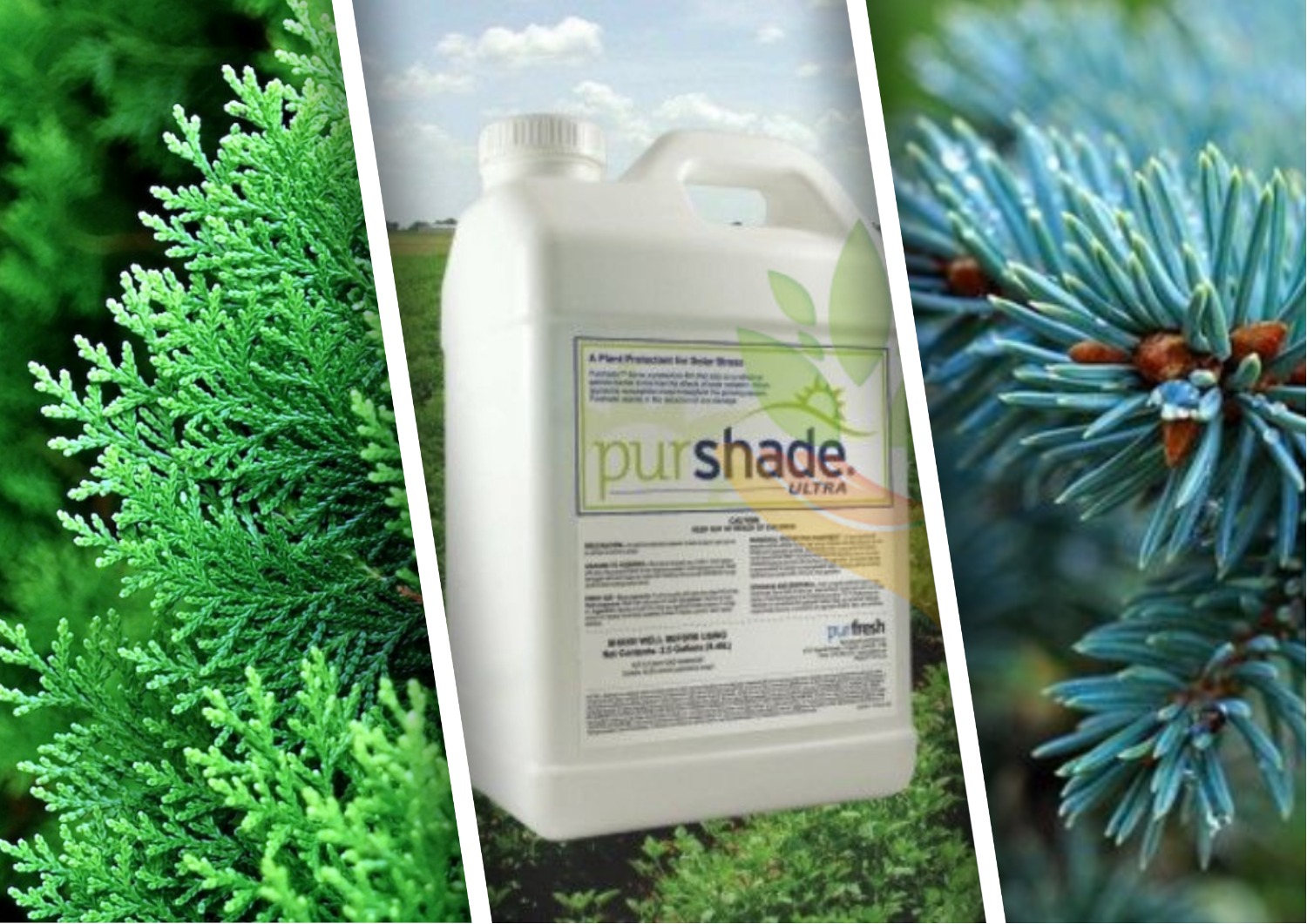 Препарат «Пуршейд» уже в продаже Препарат «Пуршейд» уже в продаже