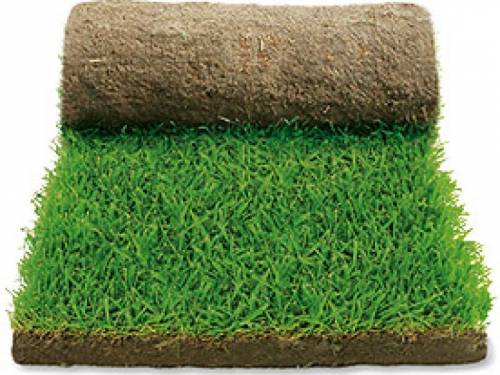 Сроки поставки рулонного газона Сроки поставки рулонного газона