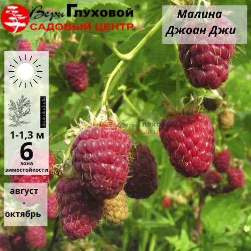 Малина Джоан Джи