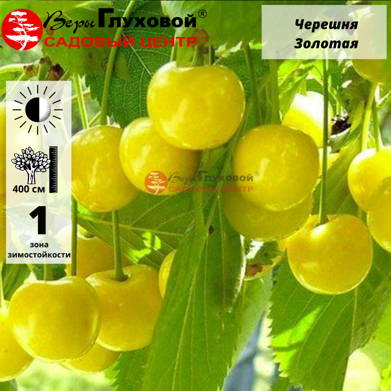 Основное изображение товара