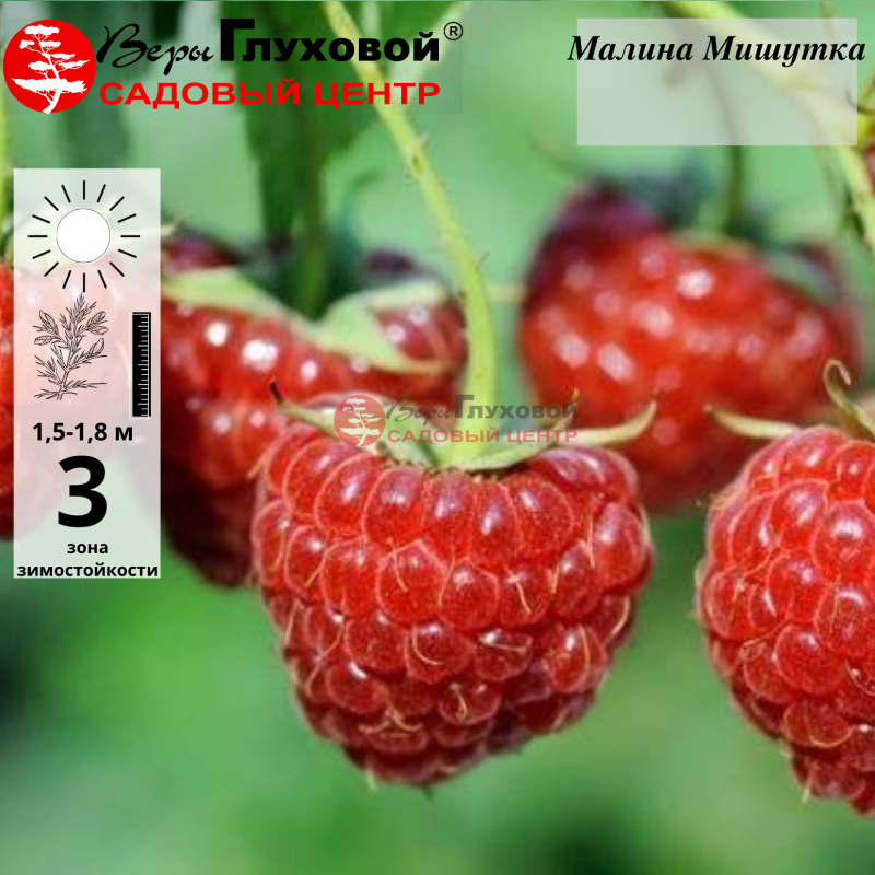 Основное изображение товара