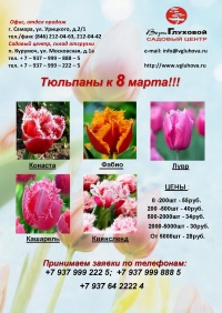 Тюльпаны к 8 марта