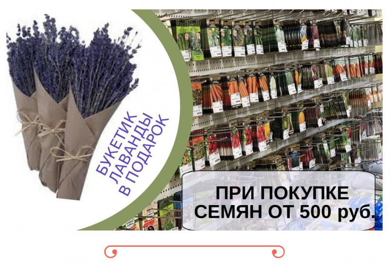 НОВОЕ ПОСТУПЛЕНИЕ СЕМЯН ОТ ФИРМЫ ПОИСК