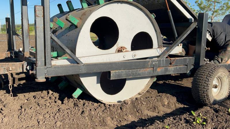 Посадка самых маленьких