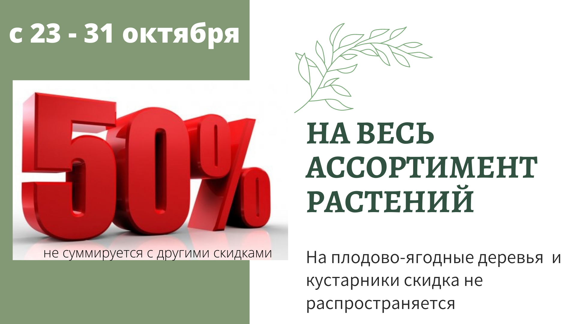 АКЦИЯ: -50% на весь ассортимент АКЦИЯ: -50% на весь ассортимент