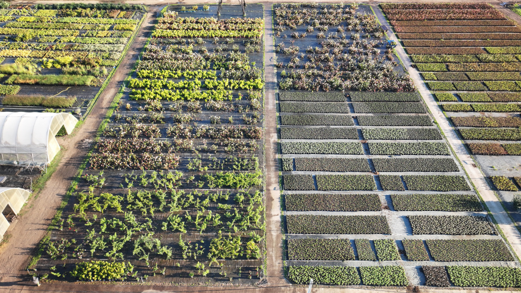 контейнерное производство