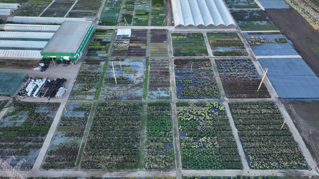 контейнерное производство