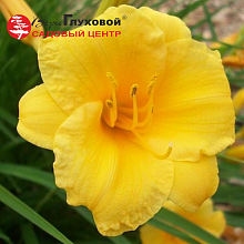 Основное изображение товара