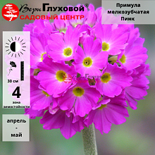 Основное изображение товара