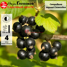 Основное изображение товара