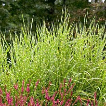 Основное изображение товара