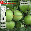 Яблоня 
