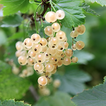 Основное изображение товара