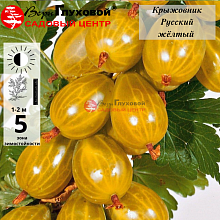 Рисунок 111.jpg