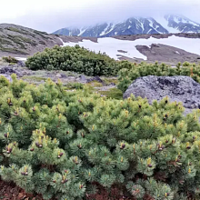 Основное изображение товара