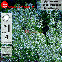 Основное изображение товара