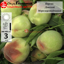 Основное изображение товара