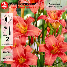 Основное изображение товара