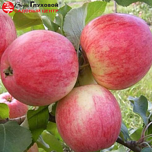 Основное изображение товара