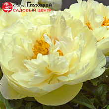 Основное изображение товара