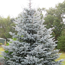 Основное изображение товара