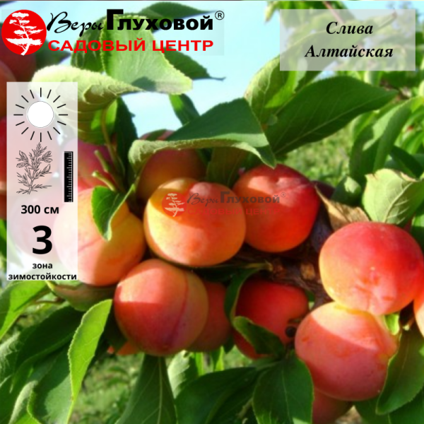 Рисунок 187.jpg