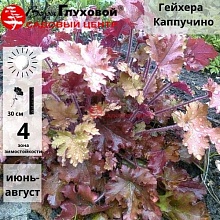 Основное изображение товара